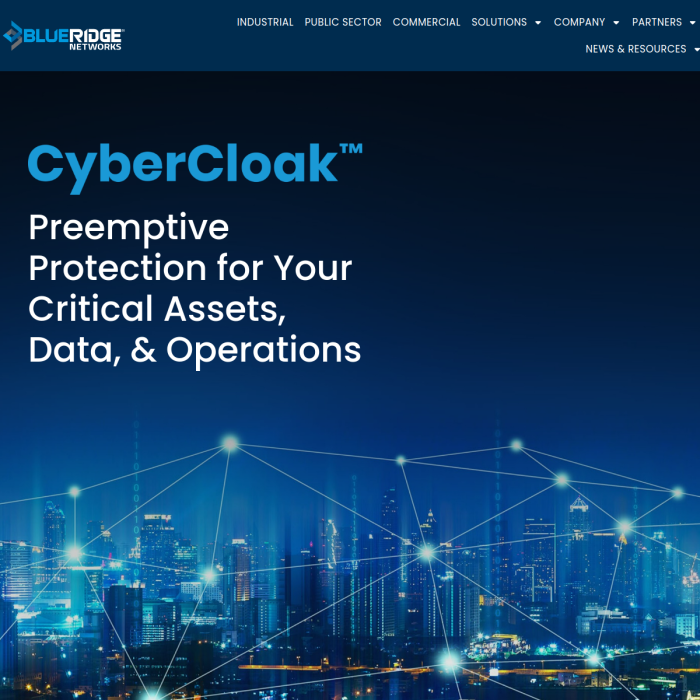 Blue Ridge Networks website
